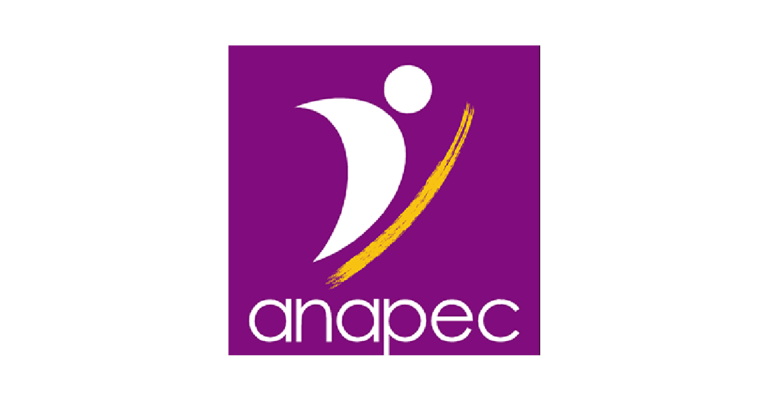 أنابيك: توظيف 153 سائق بعدة مدن برخص السياقة B وD وEC أنابيك: توظيف 153 سائق بعدة مدن برخص السياقة B وD وEC