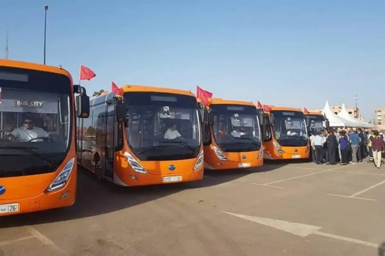 الأنابيك: مطلوب توظيف 160 سائقي حافلات برخصة D بدون شهادة بعقد CDI بطنجة أصيلة